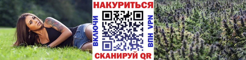 купить закладку  Лагань  Канабис план 